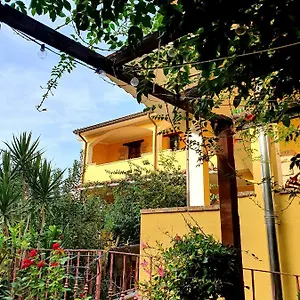 Palmas Anna's Is Procilis Italie